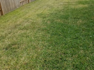Cleanups by Raul Hernandez for Austin F. in Humble, TX
