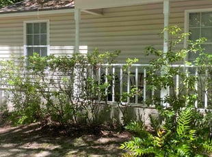 Leaf Removal by Ronald Wade for Doris L. in Tallahassee, FL
