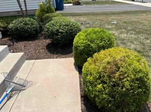 Mulching by Curtis Day for Malik D. in Pennsburg, PA