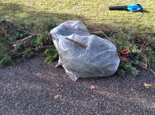 Bush Trimming by Tom Sykes for Ona C. in Hampton, VA