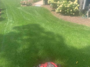 Victoria M.'s Grass Cutting service result