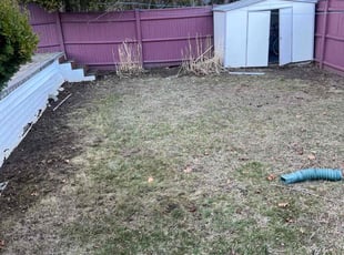 Leaf Removal by Matthew Clouse for Ilona F. in Woburn, MA