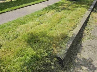 Cleanups by Gordon Grylls for Todd L. in Tacoma, WA