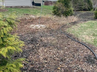 Cleanups by Pete Cannon for Laura B. in Hartland, WI