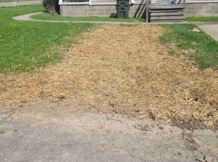 Aeration by Tracy Sybole for Keisha S. in Canton, OH
