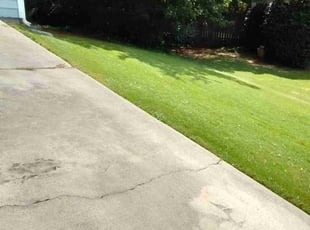 Walter L.'s Lawn Service service result