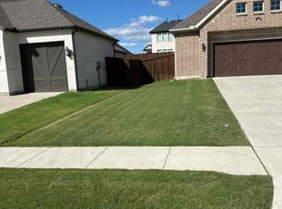 Alexis B.'s Lawn Mowing Service service result