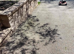 Leaf Removal by David Cardillo for Ronald H. in Providence, RI
