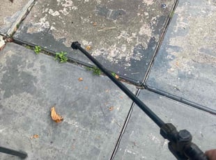Weeding by Josh Larew for Alexander S. in Orlando, FL