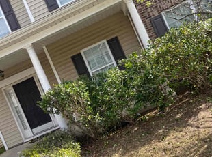 Bush Trimming by Jordan Kofroth for Daniel S. in Morrisville, NC