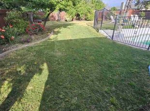 Cleanups by Christopher Agostini for John B. in Citrus Heights, CA