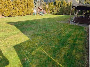 Marilyn D.'s Lawn Maintenance service result