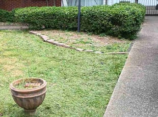 Bush Trimming by Chris Slone for Tai T. in Louisville, KY