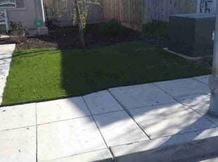 Leaf Removal by Jennifer Ortiz for Stephen W. in Clovis, CA