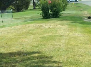Allan A.'s Lawn Care service result