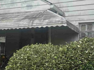 Bush Trimming by Douglas McClelland for Byron T. in Bessemer, AL