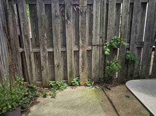 Keith G.'s Bush Trimming service result