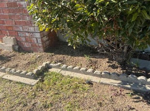 Weeding by Tyson Bland for Nancy Y. in Torrance, CA