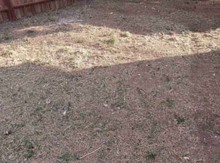 Eleanor B.'s Cleanups service result