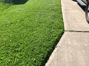 Jim C.'s Grass Cutting service result