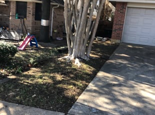 Leaf Removal by Brett Knapp for Ed C. in Grapevine, TX