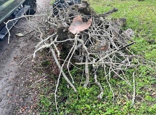 Cleanups by Calvin Williams for Daquisha P. in Jacksonville, FL