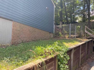Bush Trimming by Richard Tucker for Christine J. in Richmond, VA
