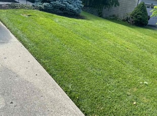 William E.'s Lawn Care service result