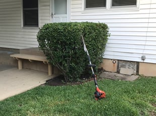 Bush Trimming by Casey Diaz for William M. in Austin, TX