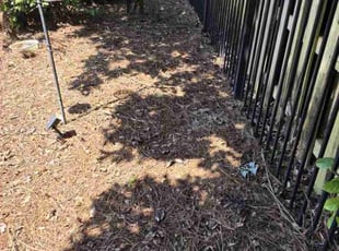 Leaf Removal by Rebacca & David Redman for Dennis C. in Panama City, FL