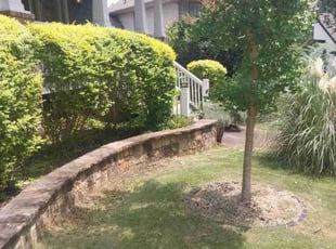 Bush Trimming by Joshua Walker for Elliot G. in Avondale Estates, GA
