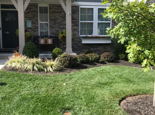 Bush Trimming by Gary Andersen for Jerry B. in Loveland, OH