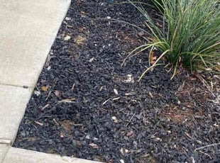 Weeding by Jose Tovar for Mayami M. in Haslet, TX