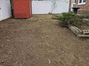 Leaf Removal by Yefri Mata for Lesley R. in Baldwin, NY