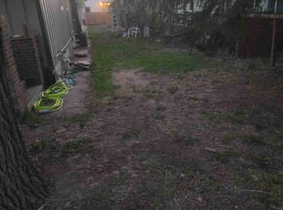 Leaf Removal by Rick Mallett for James A. in Wellington, CO