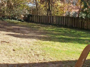 Leaf Removal by Brandon Morris for Rosalind J. in Pittsburgh, PA