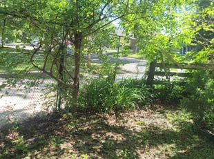 Bush Trimming by Keith Moore for Nyeleti N. in Madison, WI