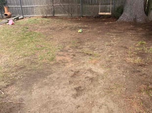 Cleanups by David Cardillo for Ellen S. in Providence, RI