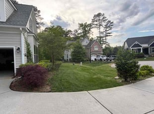 Debi G.'s Lawn Mowing Service service result