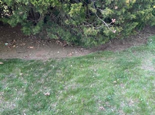 Leaf Removal by Aaron Ford for Jennifer C. in Farmingdale, NY