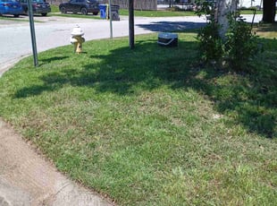 Blake H.'s Cleanups service result