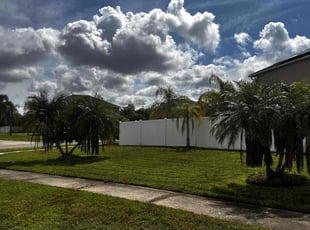 Elizabeth H.'s Lawn Service service result