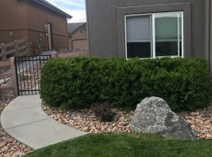 Landscaping by Jamill Pacheco for Shawn H. in Colorado Springs, CO