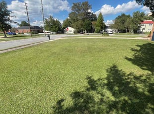 Dashaun S.'s Lawn Service service result