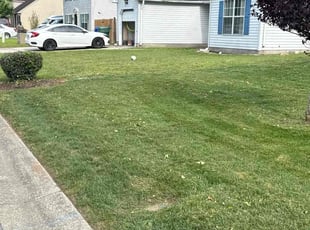 Bush Trimming by Jesse Hill for Lynden F. in Suffolk, VA