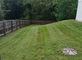 Cleanups by Julia Rader for Reanna W. in Knoxville, TN