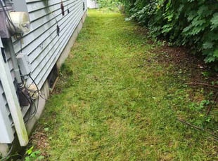 Laurie K.'s Lawn Mowing service result