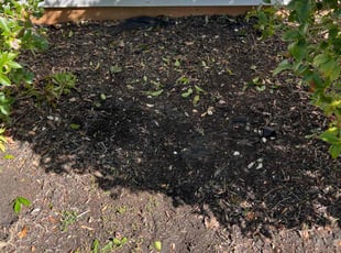Weeding by Myia Weston for Debra B. in Riverdale, GA