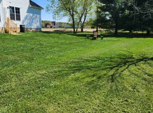 Elise T.'s Lawn Mowing service result