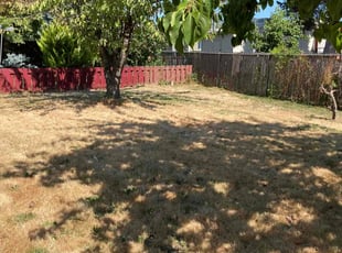 Cleanups by Andrew Lotsberg for Cynthia L. in Milwaukie, OR